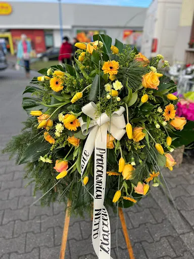 Kwiaciarnia VIOLET - Głogów